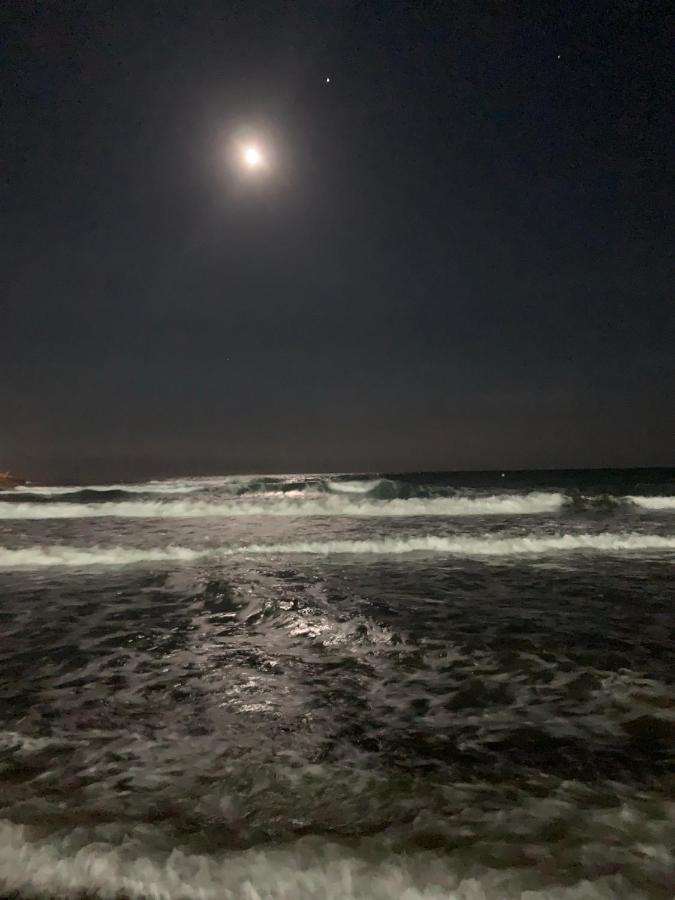 Apartamento En Primerisima Linea De Playa Con Espectaculares Vistas Netflix, Prime Y Disney โอโรเปซาเดลมาร์ ภายนอก รูปภาพ